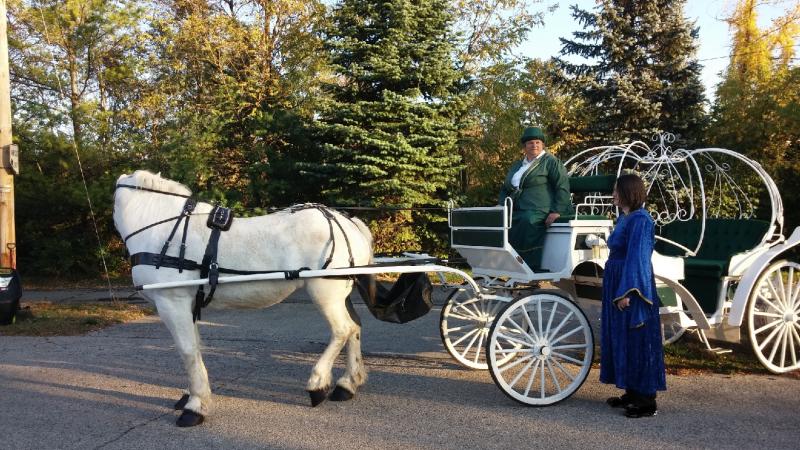 Vis-a-vis Cinderella Carriage | Willow Wind Carriage & Limousine Service